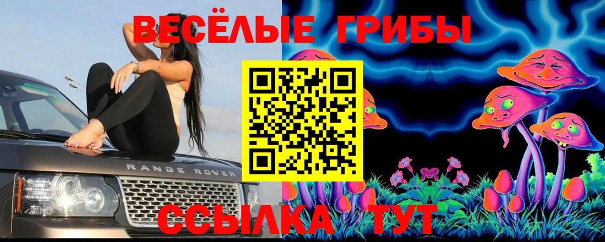 Великие Луки  закладки  Вход с VPN  Псилоцибиновые грибы GOLDEN TEACHER 