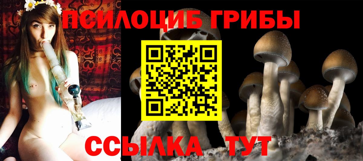 Галлюциногенные грибы MAGIC MUSHROOMS Великие Луки